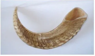 NC-081, item 105