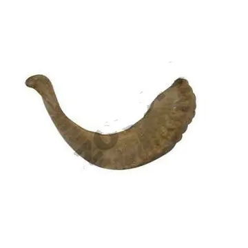 NC-083, item 107