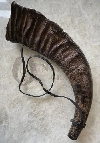 Buffalo Trumpet Horns (BBHL), item 222