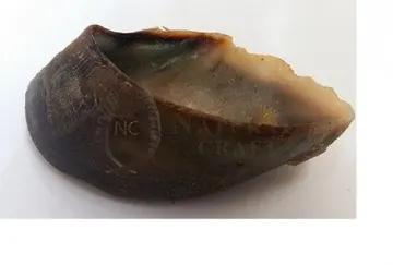 Buffalo Dried Hooves, item 225